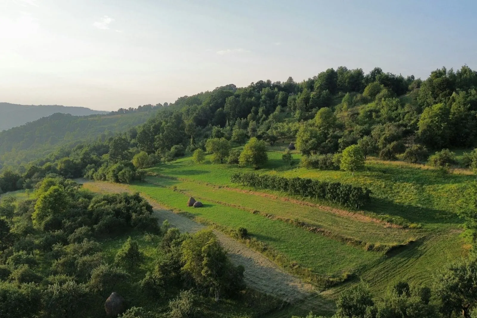 Valle con parcelas de cultivo