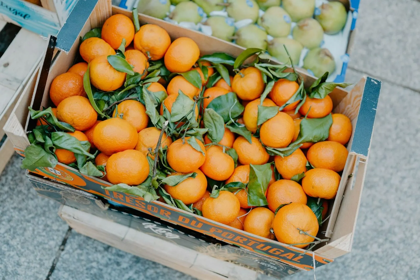 Cajas de naranjas recién cosechadas